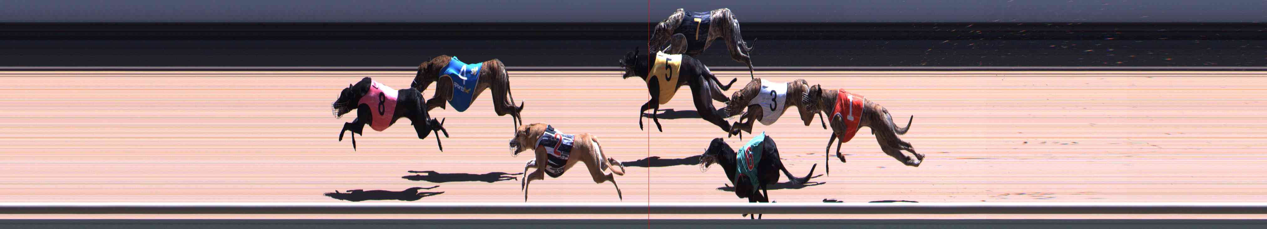 Photo finish for Healesville Race 11
