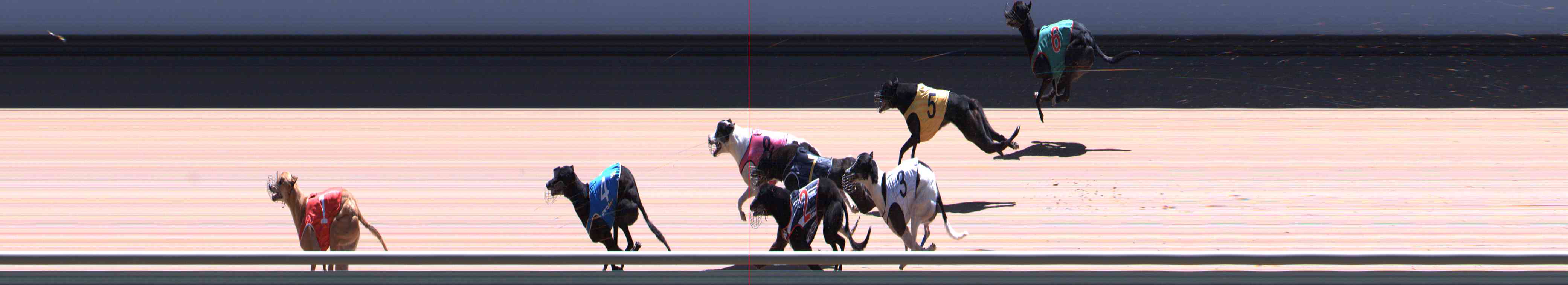 Photo finish for Healesville Race 12