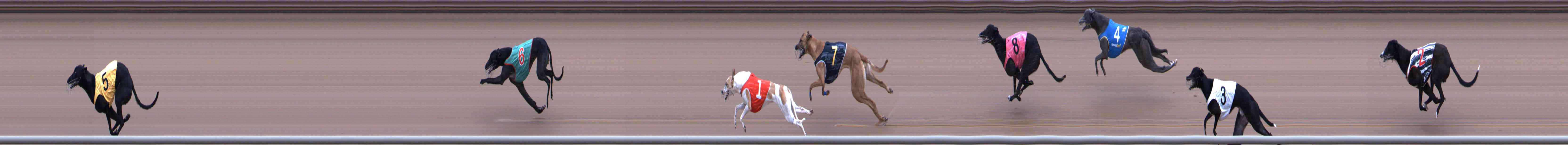 Photo finish for Healesville Race 1