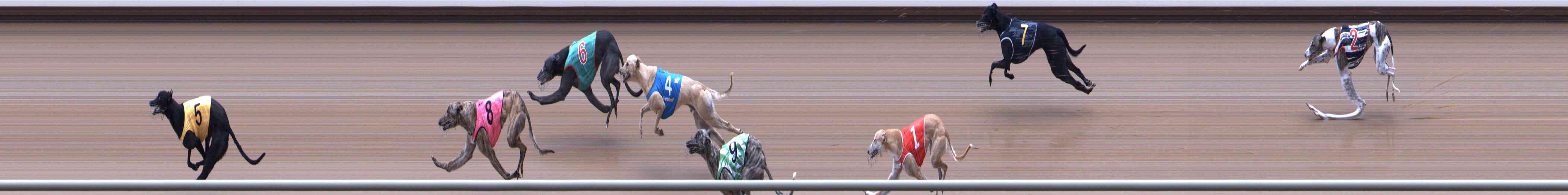 Photo finish for Healesville Race 3