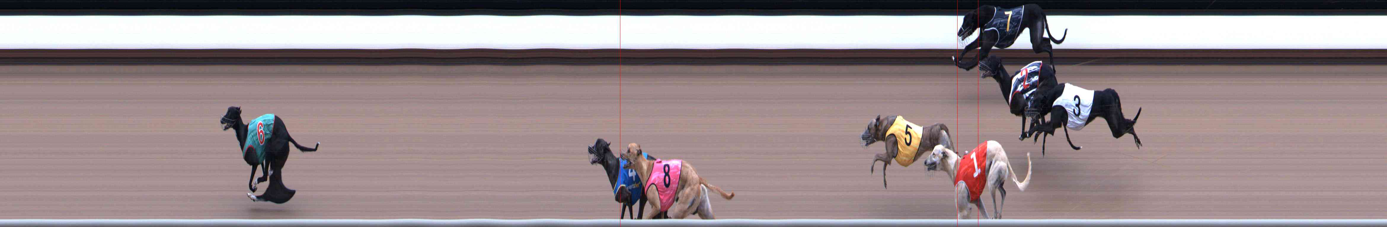 Photo finish for Healesville Race 4