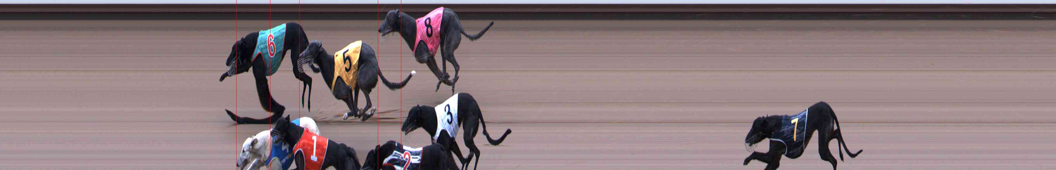 Photo finish for Healesville Race 5