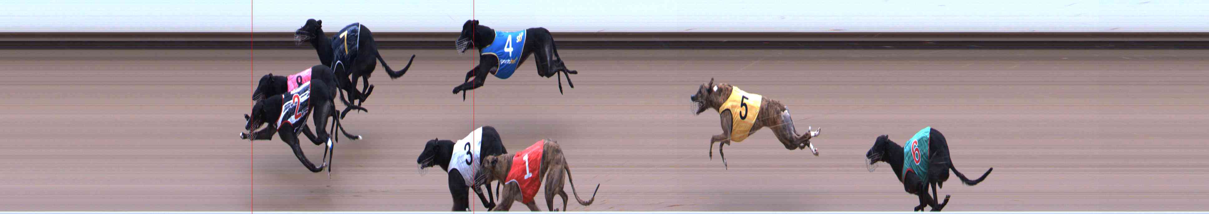 Photo finish for Healesville Race 6