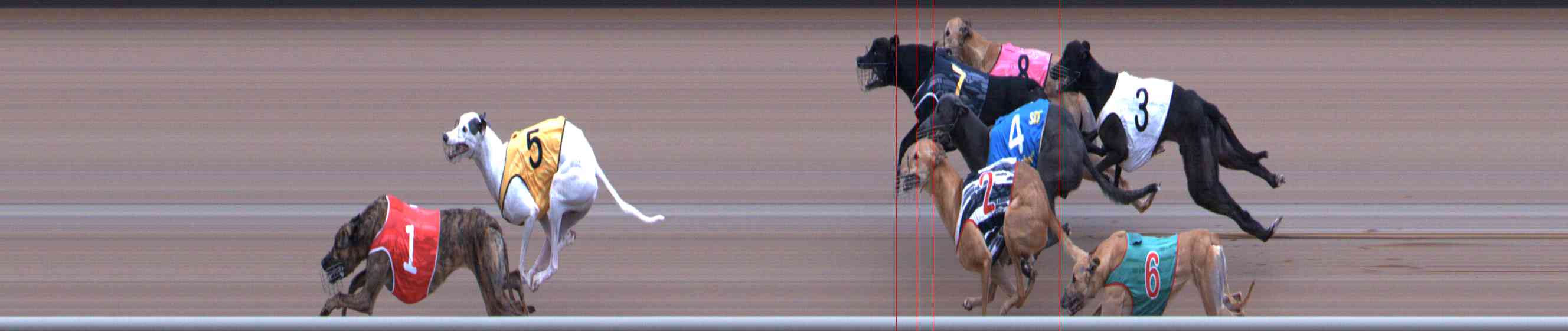 Photo finish for Healesville Race 7