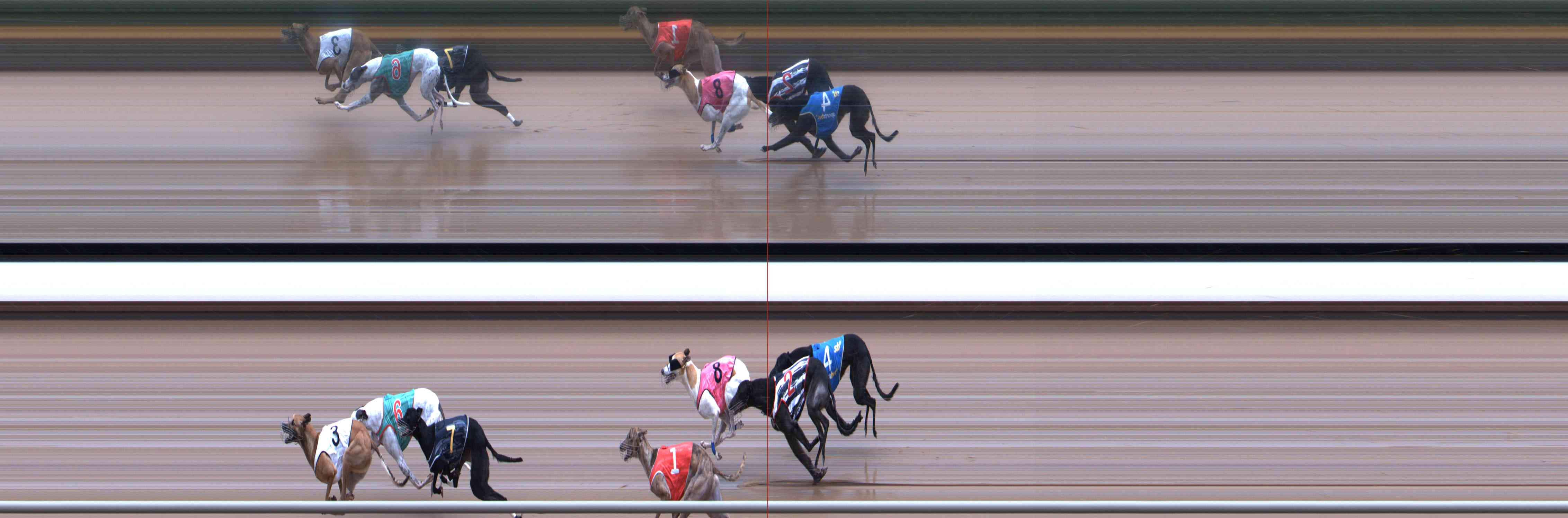 Photo finish for Healesville Race 8