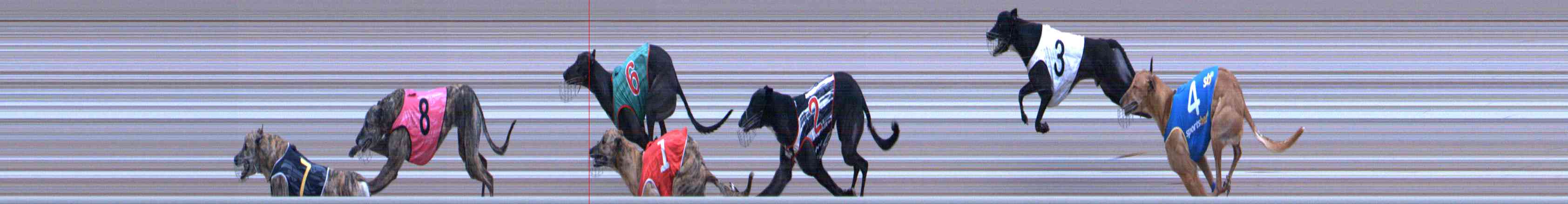 Photo finish for Healesville Race 9