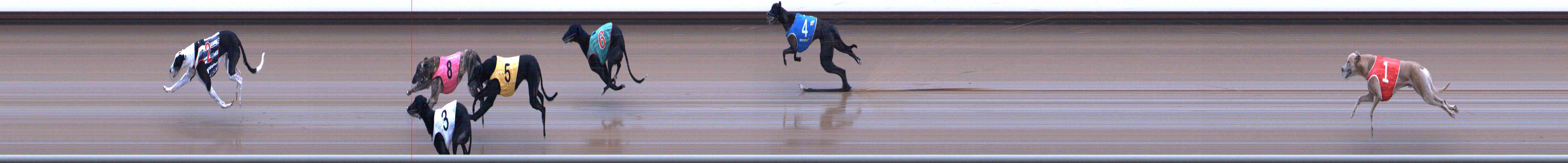 Photo finish for Healesville Race 10