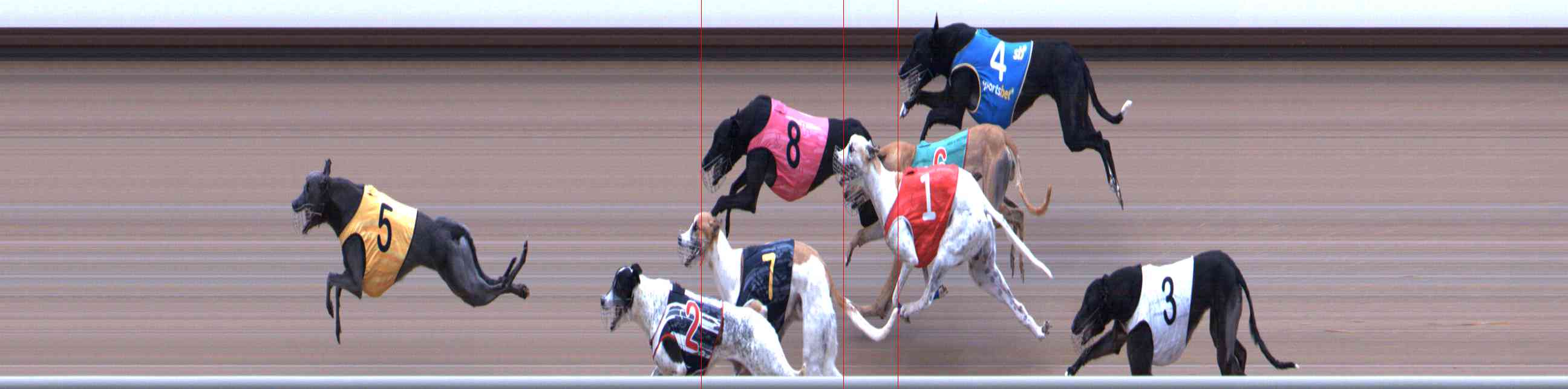 Photo finish for Healesville Race 11