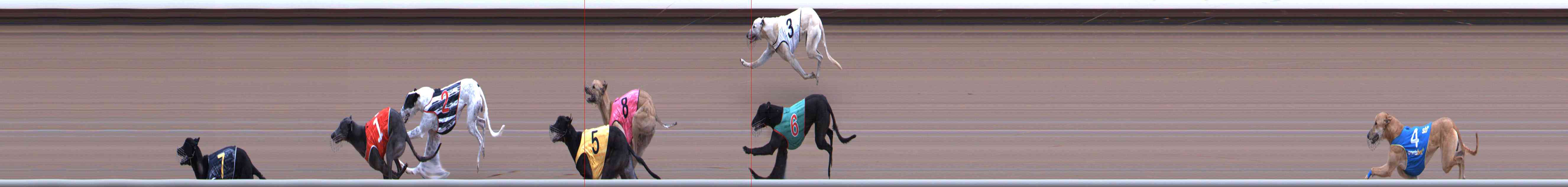 Photo finish for Healesville Race 12