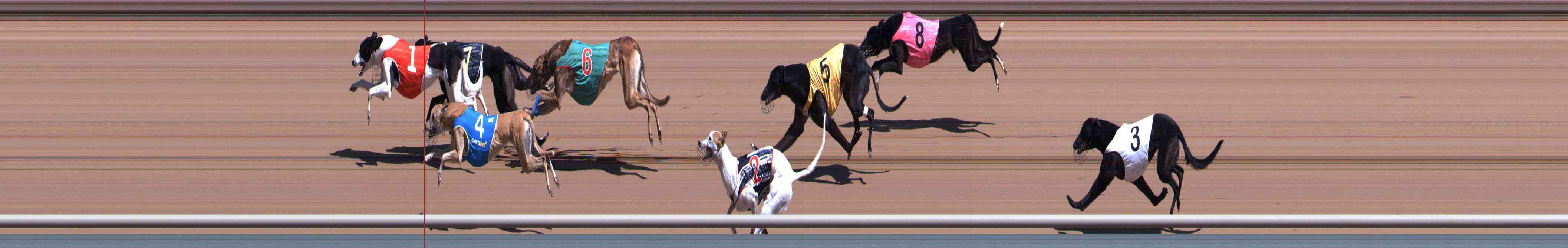 Photo finish for Healesville Race 1