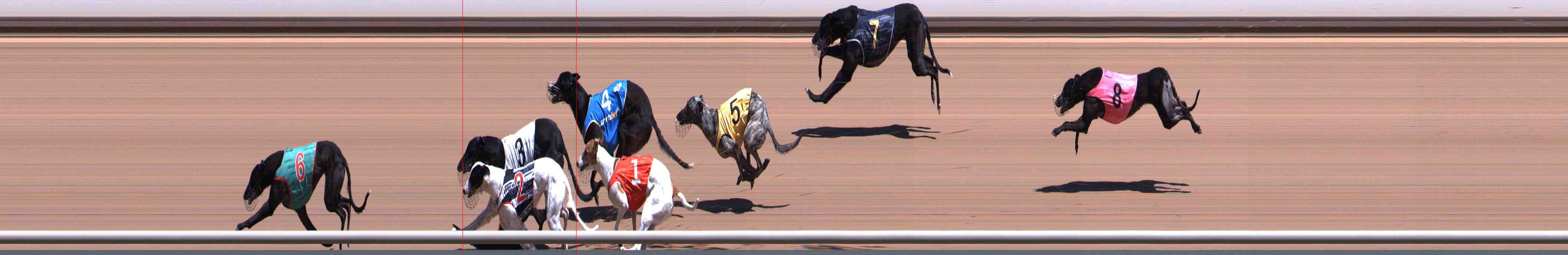 Photo finish for Healesville Race 3