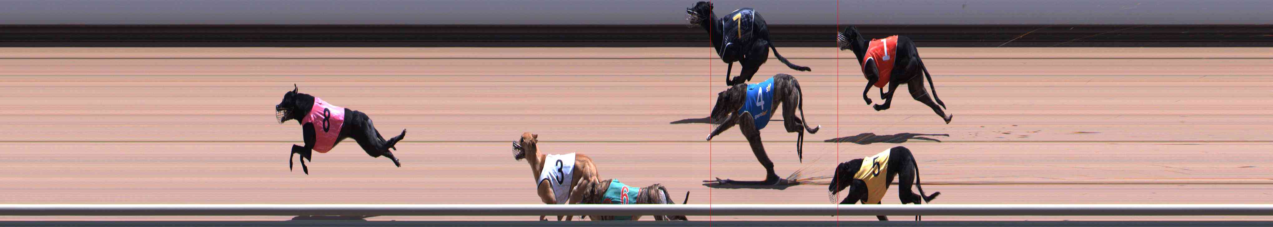 Photo finish for Healesville Race 8