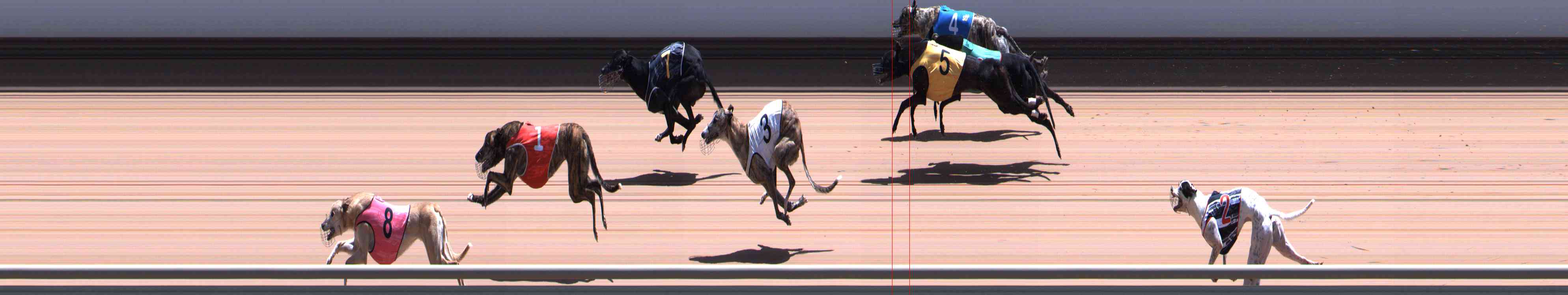 Photo finish for Healesville Race 10