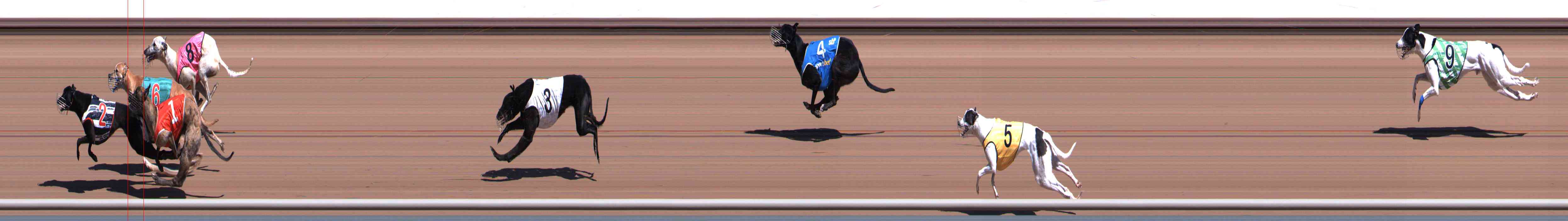 Photo finish for Healesville Race 1