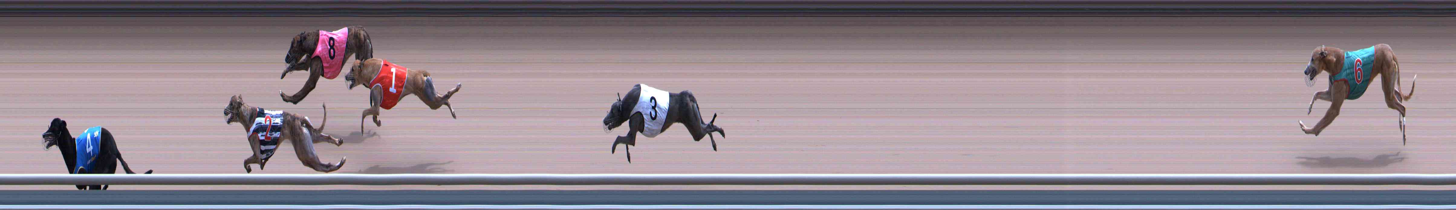 Photo finish for Healesville Race 10