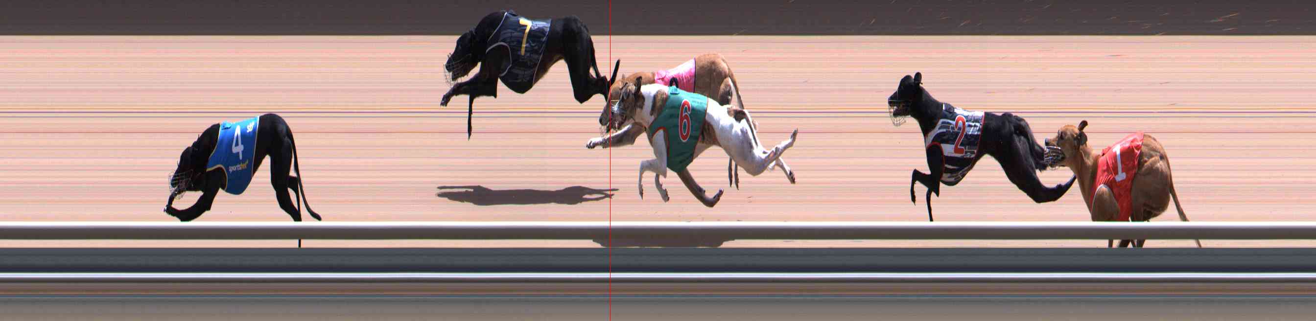 Photo finish for Healesville Race 11