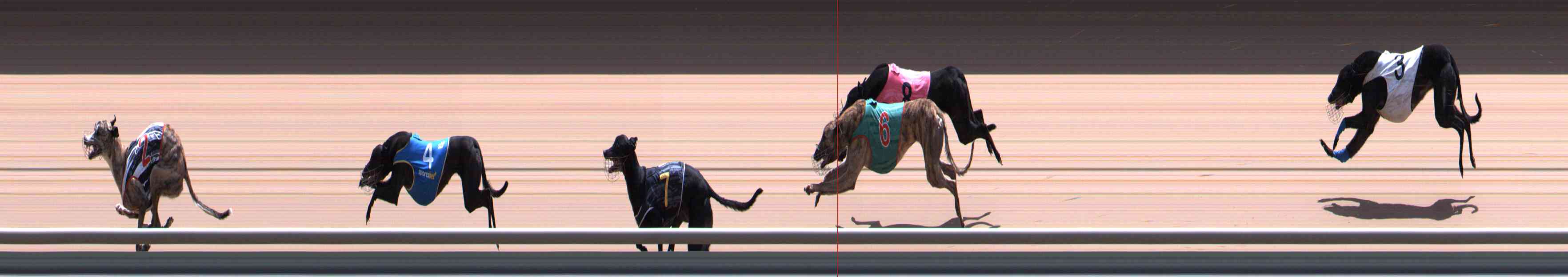 Photo finish for Healesville Race 12