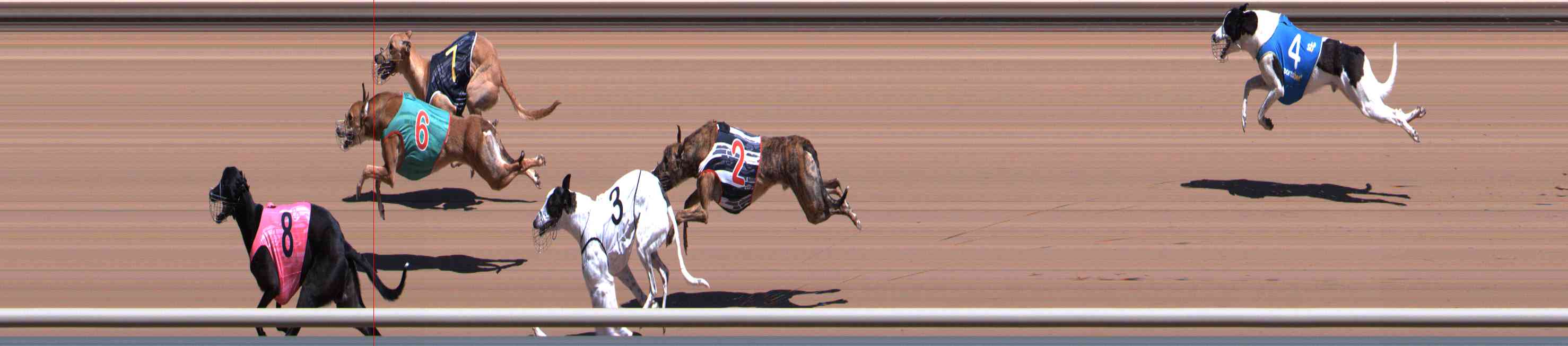 Photo finish for Healesville Race 2
