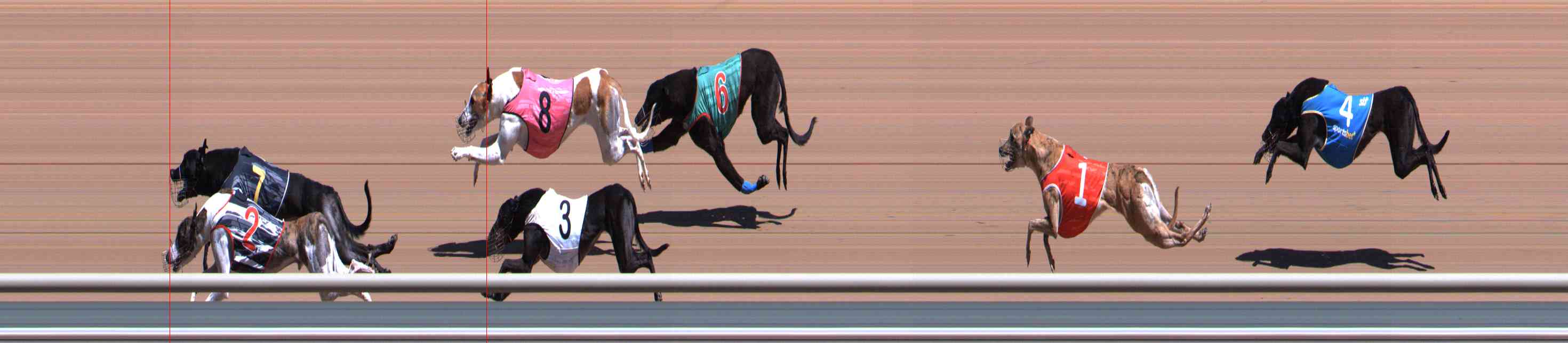 Photo finish for Healesville Race 3