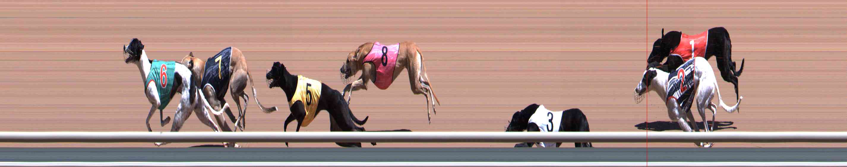 Photo finish for Healesville Race 4