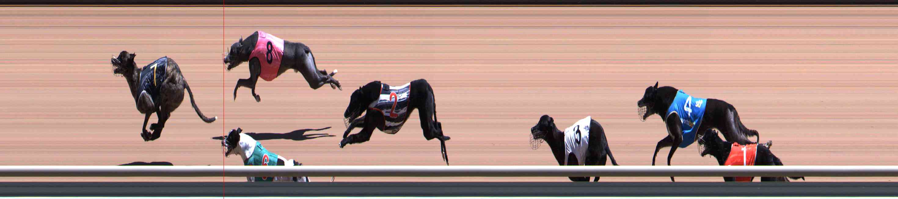 Photo finish for Healesville Race 7