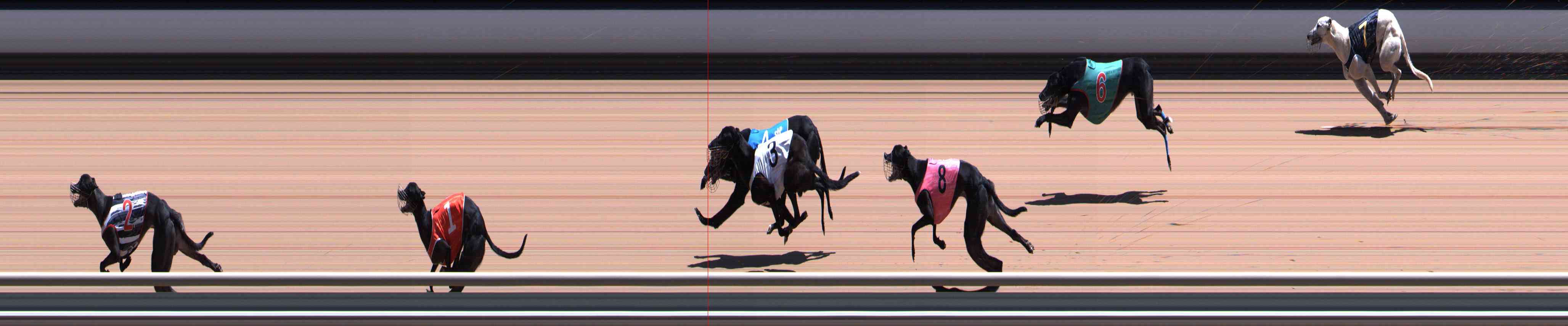 Photo finish for Healesville Race 8