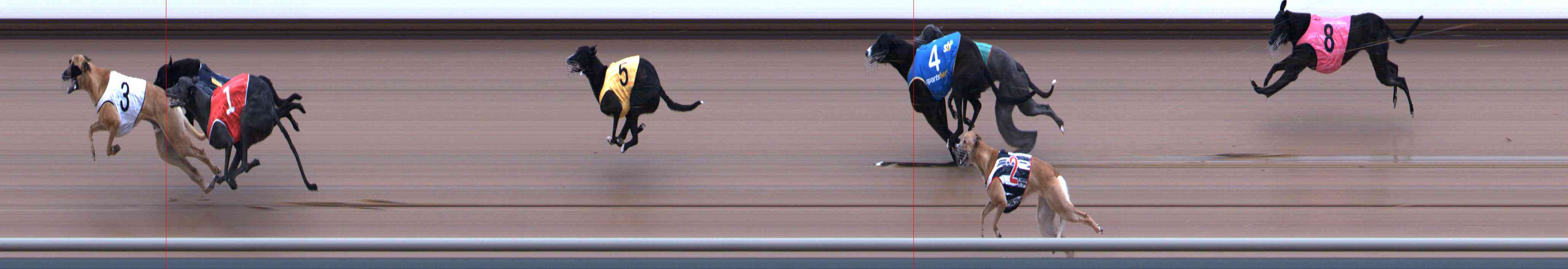 Photo finish for Healesville Race 1