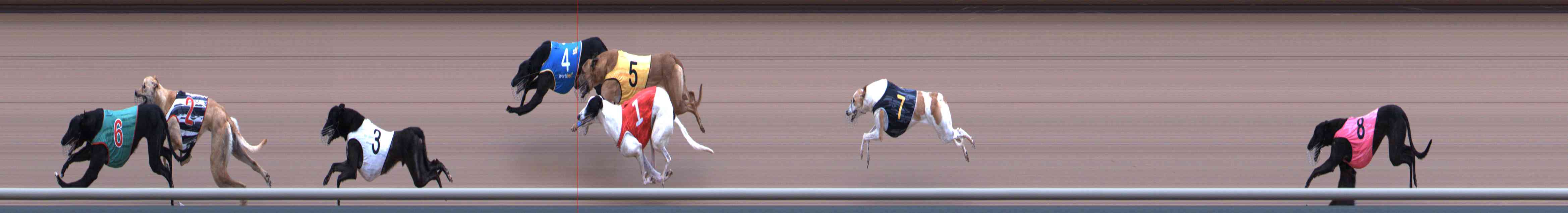 Photo finish for Healesville Race 2