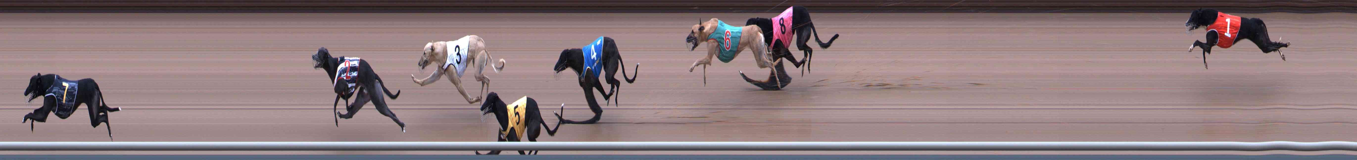 Photo finish for Healesville Race 3