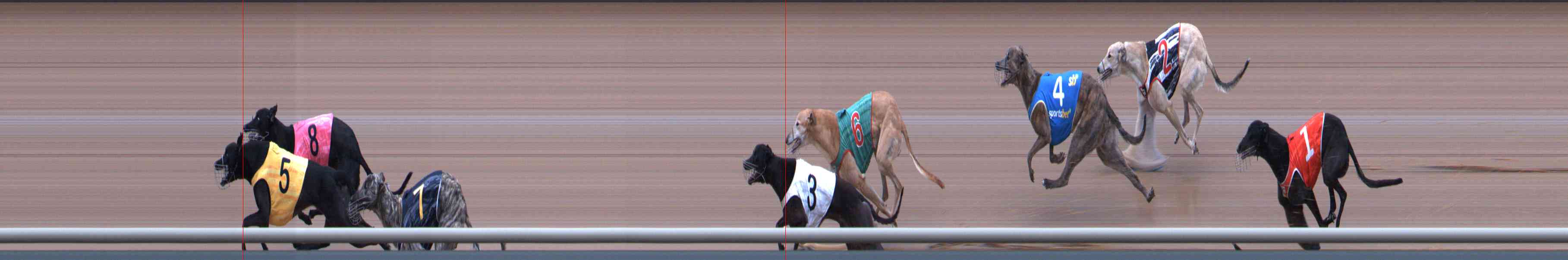 Photo finish for Healesville Race 4
