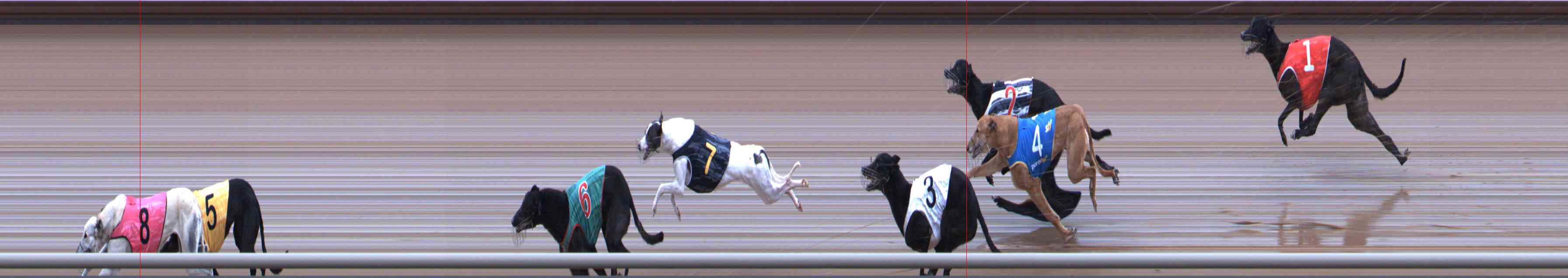 Photo finish for Healesville Race 5