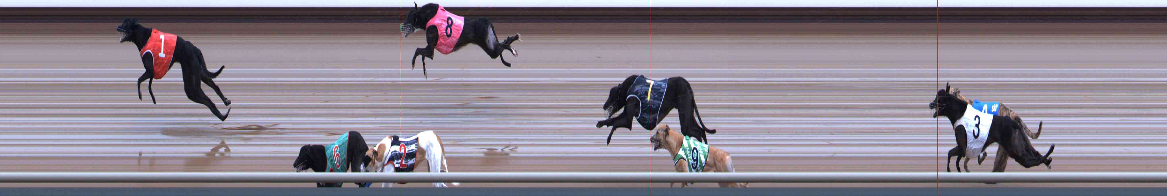 Photo finish for Healesville Race 7