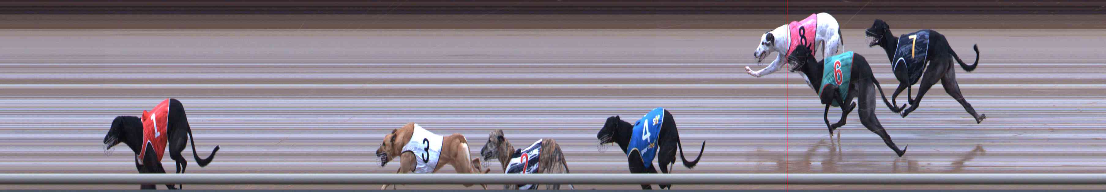 Photo finish for Healesville Race 8