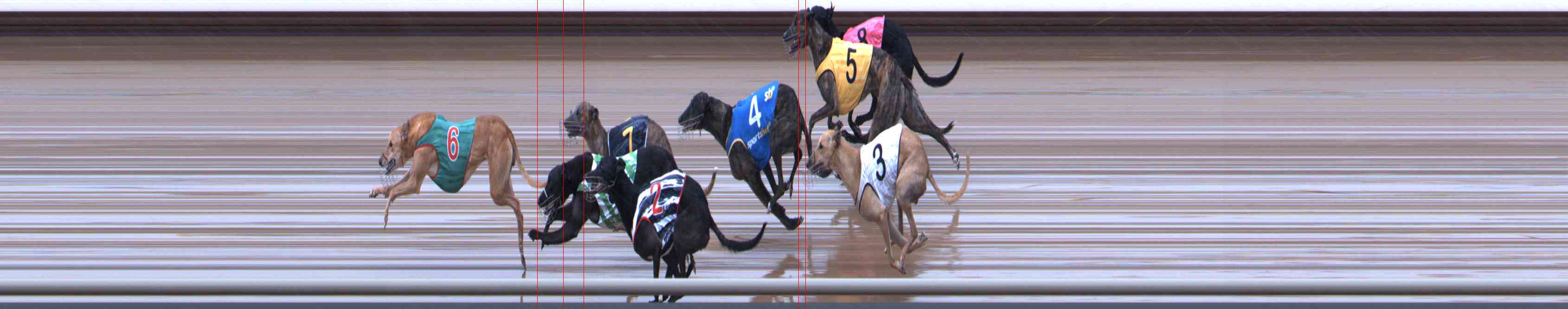 Photo finish for Healesville Race 9
