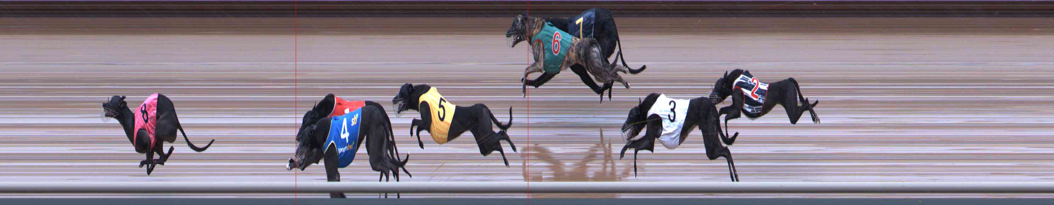 Photo finish for Healesville Race 10