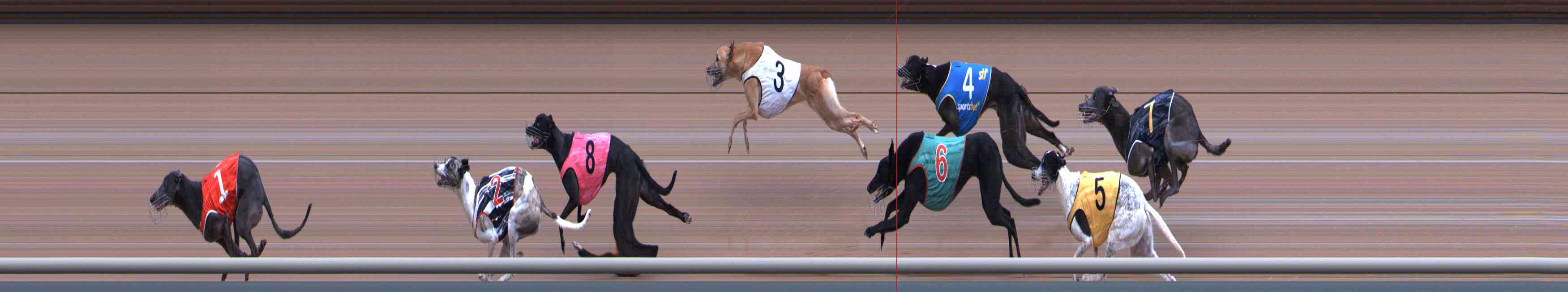 Photo finish for Healesville Race 12