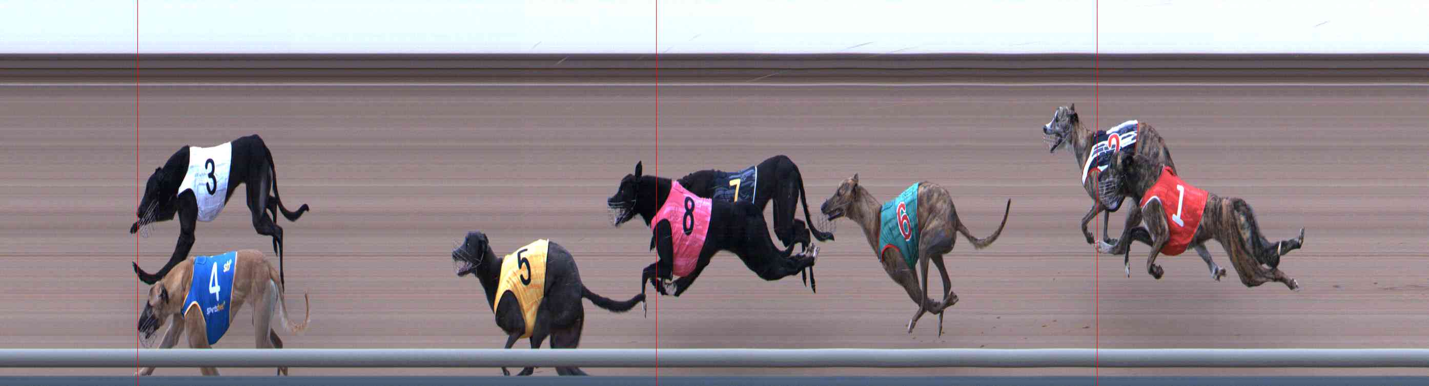 Photo finish for Healesville Race 10