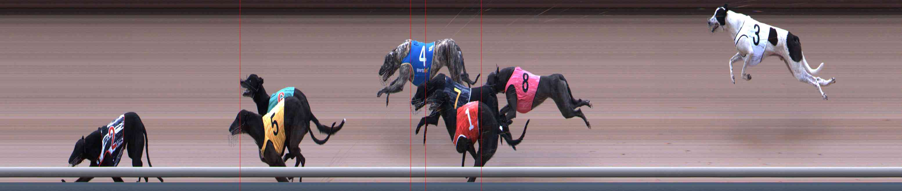 Photo finish for Healesville Race 11
