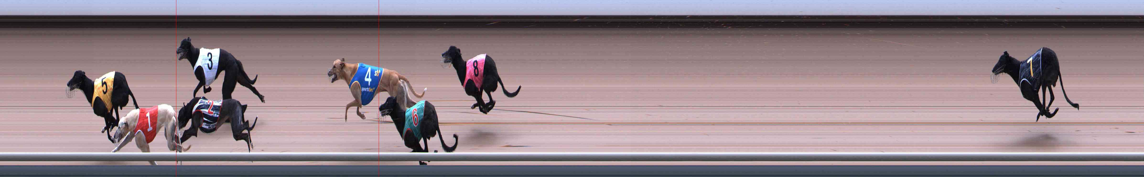 Photo finish for Healesville Race 12