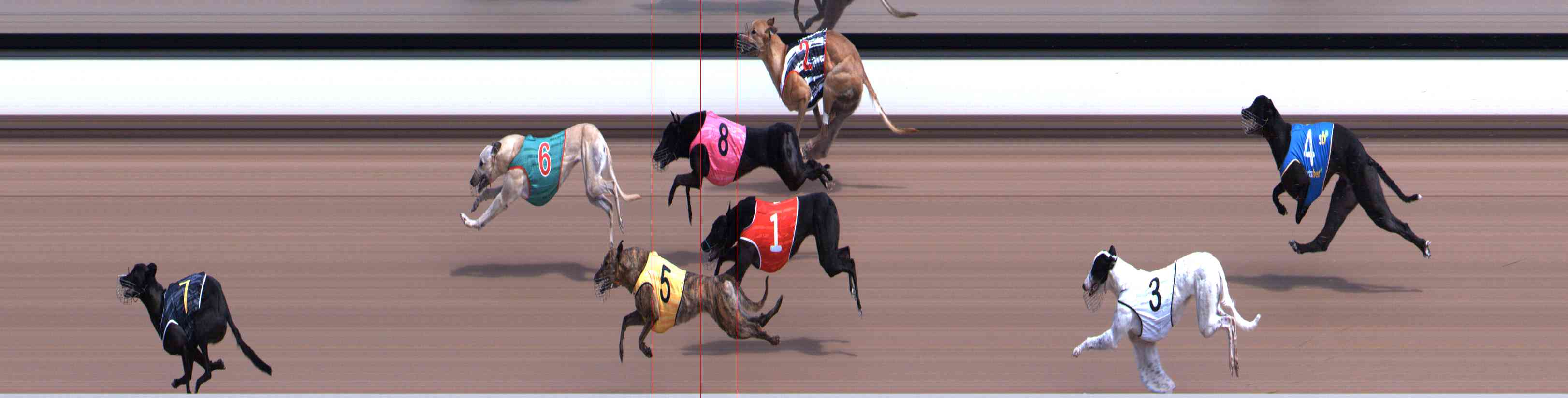 Photo finish for Healesville Race 2