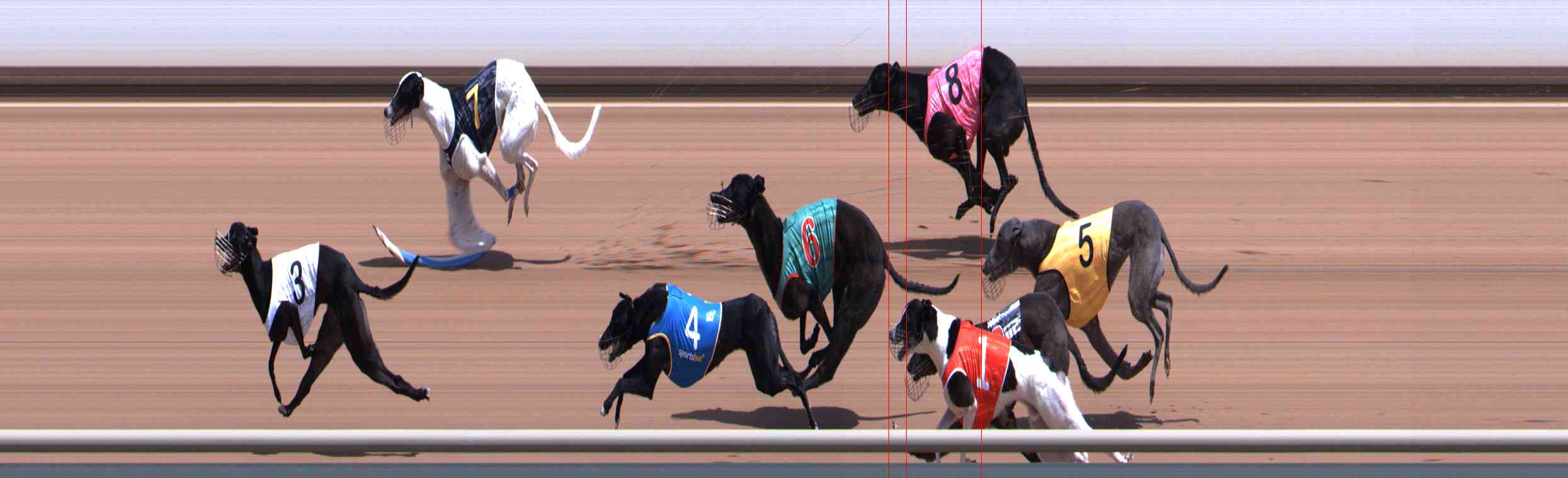 Photo finish for Healesville Race 3