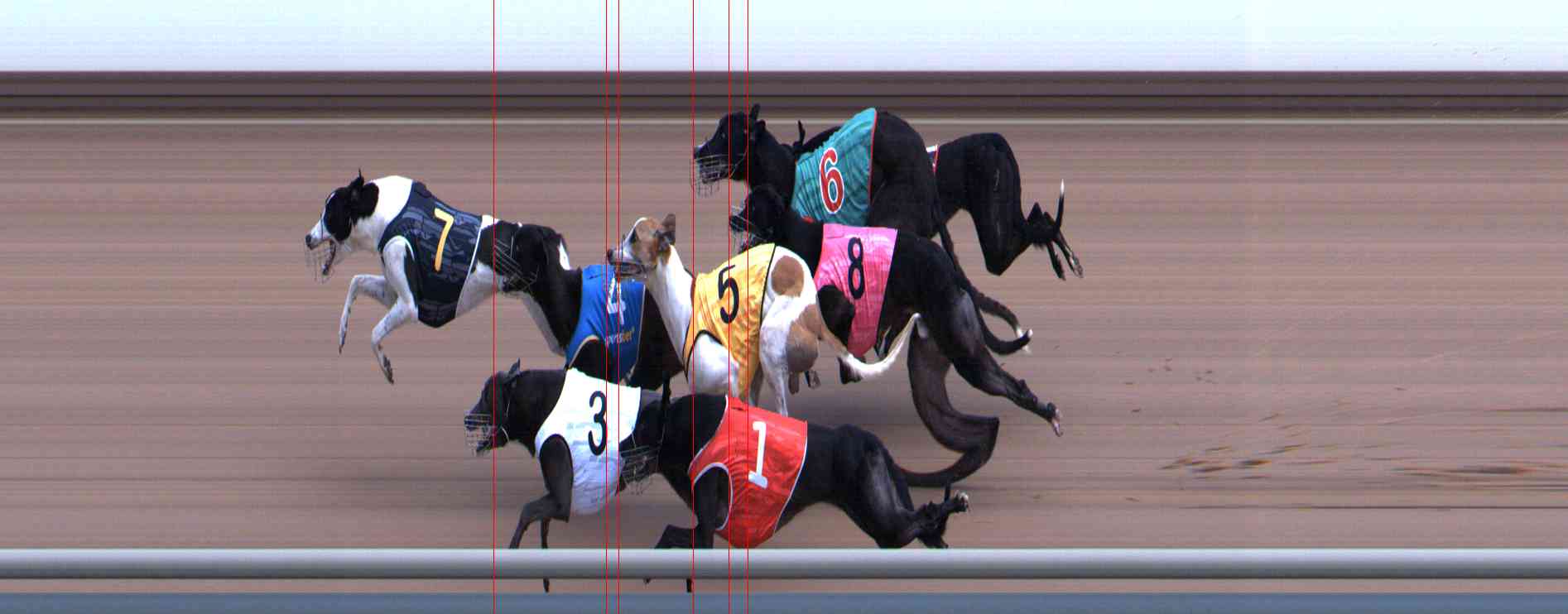 Photo finish for Healesville Race 4