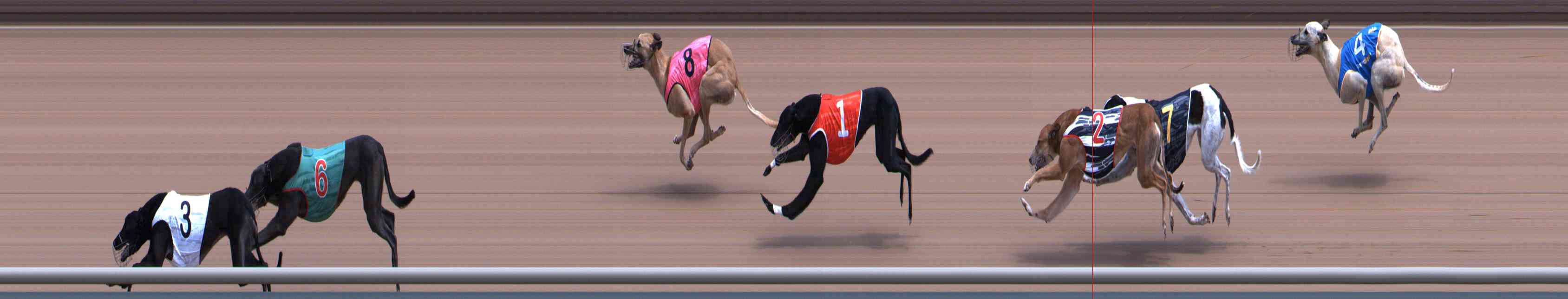 Photo finish for Healesville Race 5