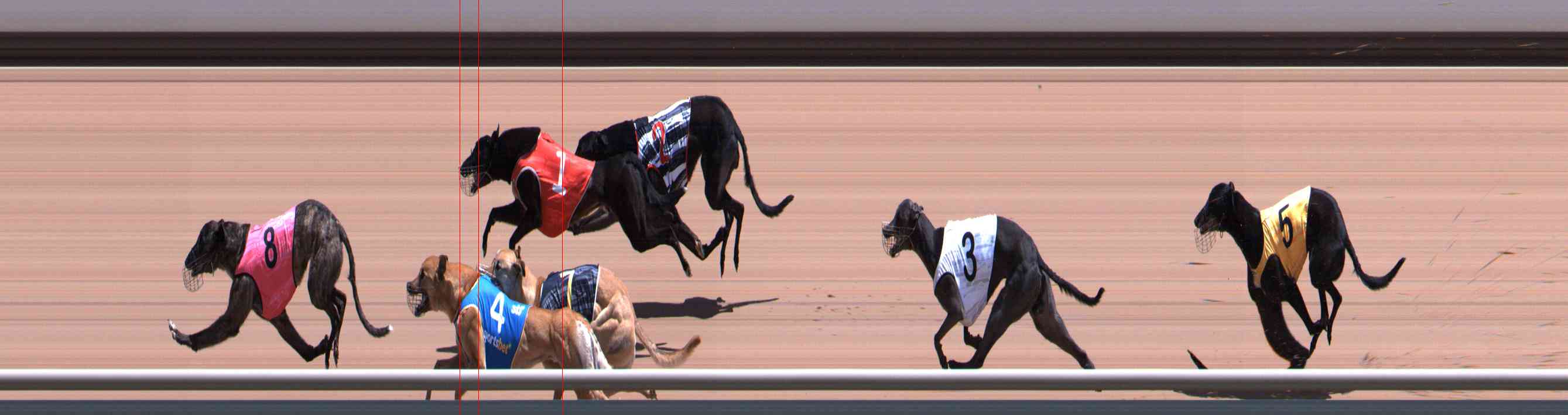 Photo finish for Healesville Race 6