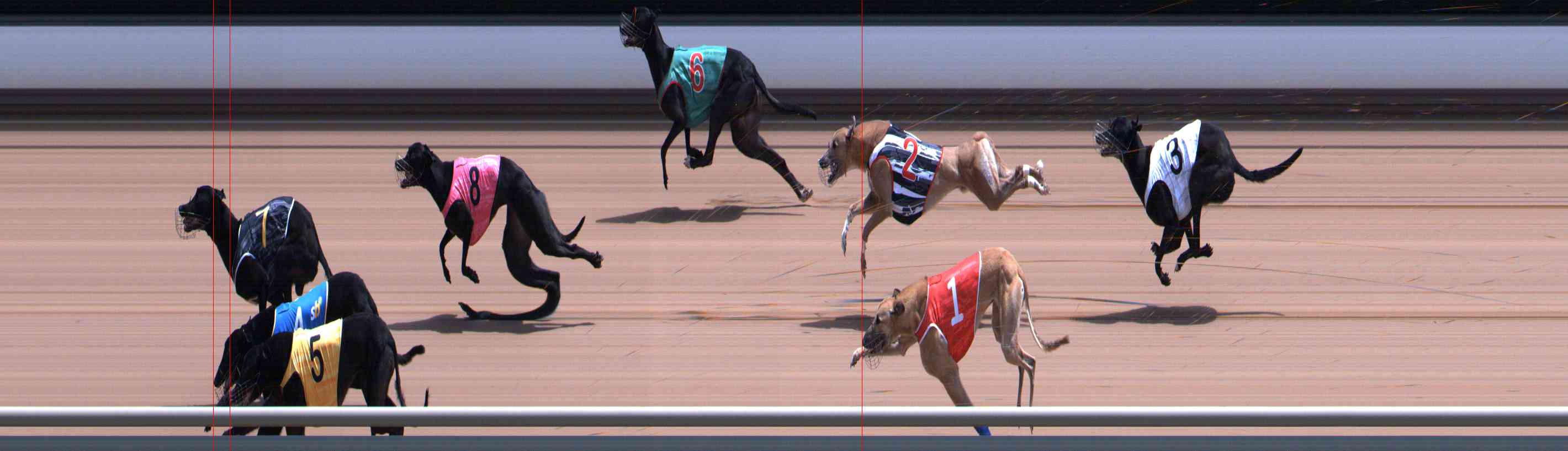 Photo finish for Healesville Race 7