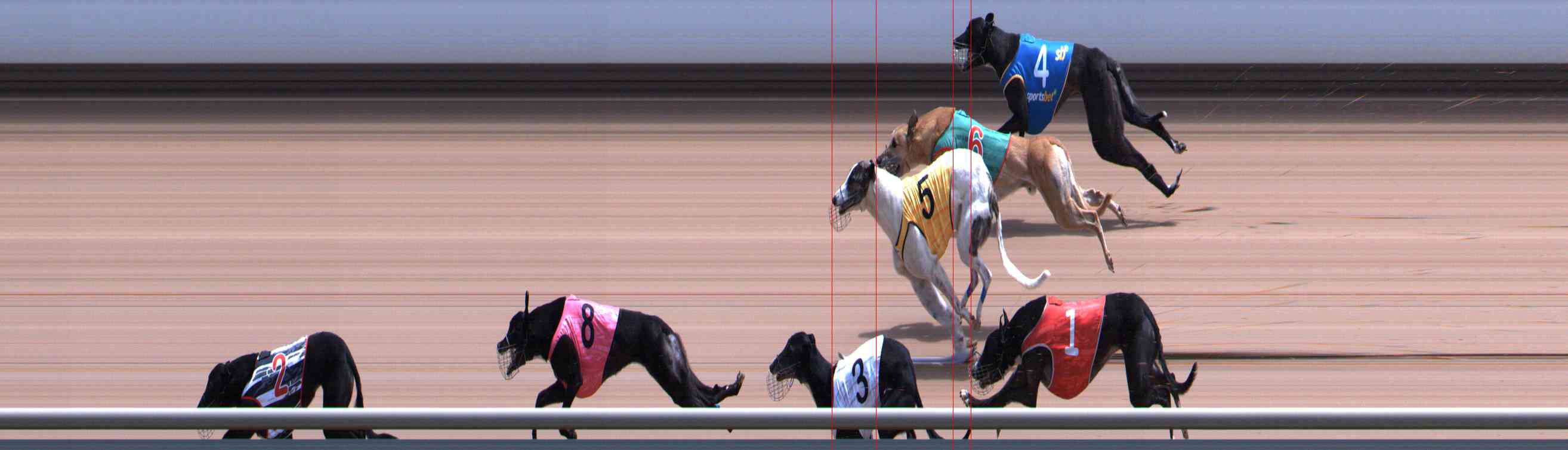 Photo finish for Healesville Race 8