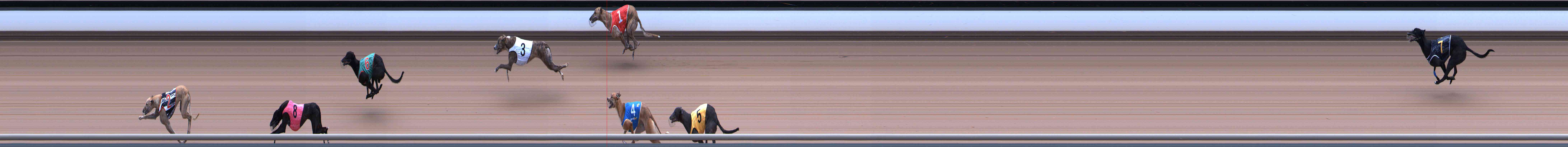 Photo finish for Healesville Race 9