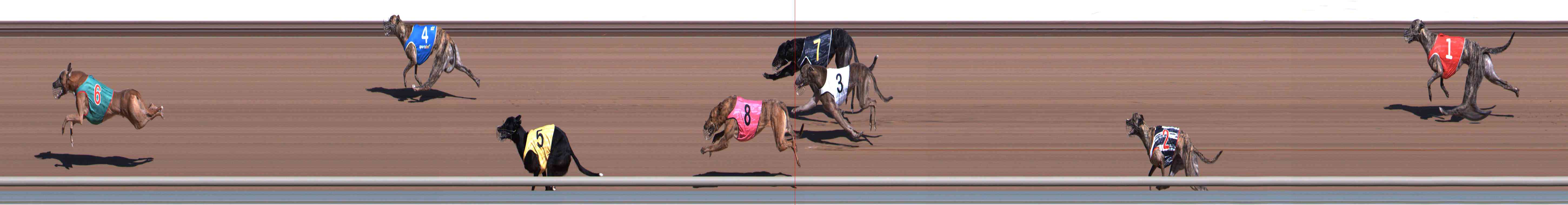 Photo finish for Healesville Race 1