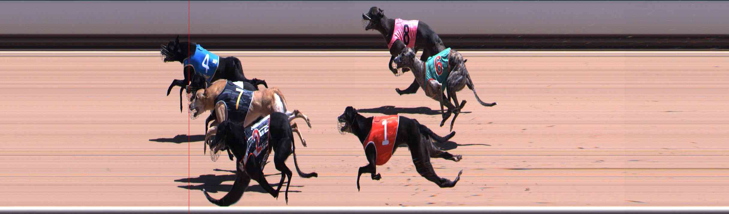 Photo finish for Healesville Race 10