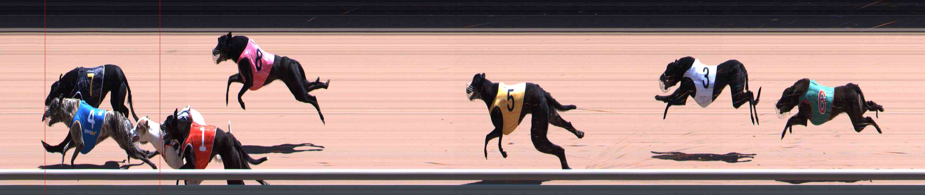 Photo finish for Healesville Race 12